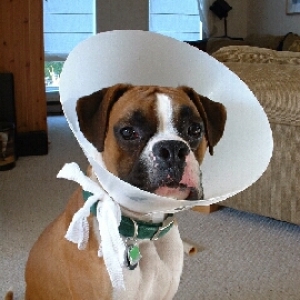 Get this thing off me!!