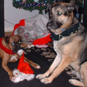 Caught in the act....
