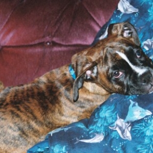 Gypsy Lounging 11-22-03