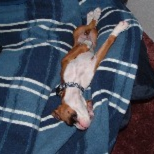 Crazy sleeper