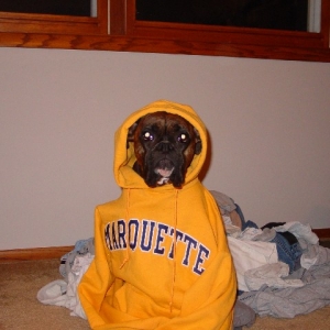 Marquette Banshee