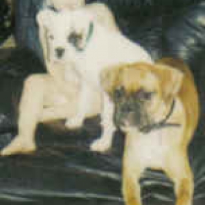 Ryan, Gizmo, & Ellie