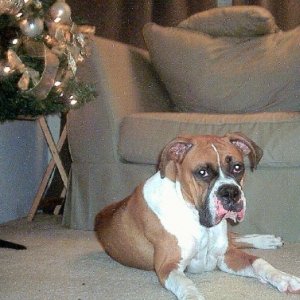 Layla 1 yrd old