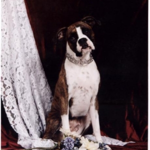 Belle looking pretty