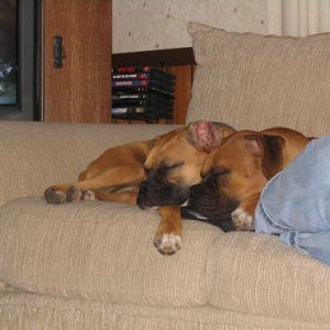 tired