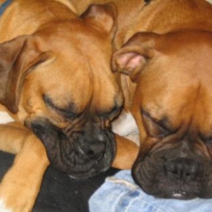 ZZZZZZZZZZZZZZ