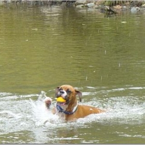 Swimming