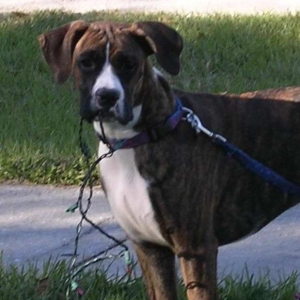 ROXY! 6months