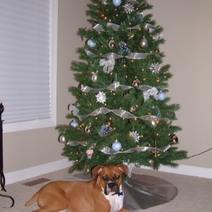 First Christmas