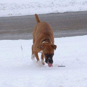 First snowfall