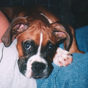 cutiepie