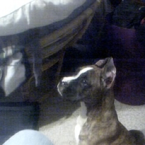 see, mom, I CAN sit still