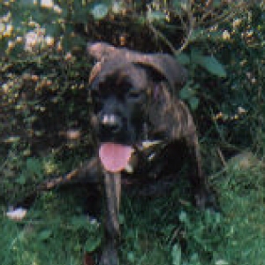 Rocky_5_mos_3_edited