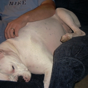 Max