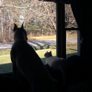 Max and Maxine