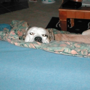 Sleepy Time Part 1