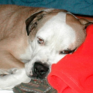 Sleepy Time Part 2