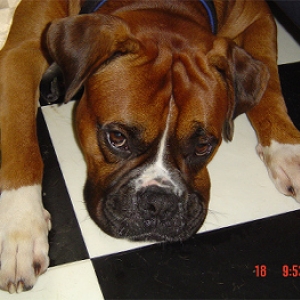 trying to sleep mom!