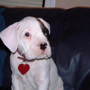 tallywrinkles