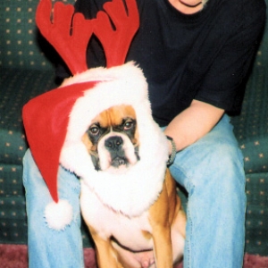 santa riley