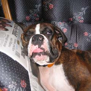 Too much to drink!?