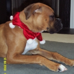 If I ignore her, she might leave me alone