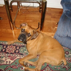 Current Picture of Oscar