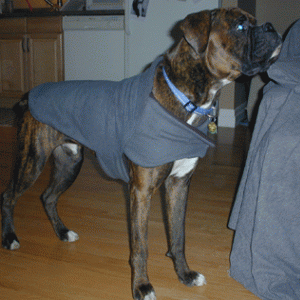 Vegas' Jacket