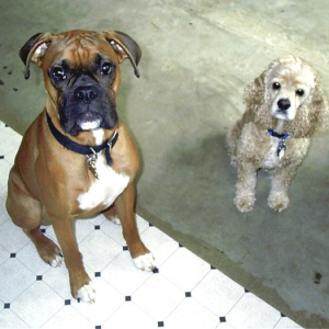 Another rare moment.