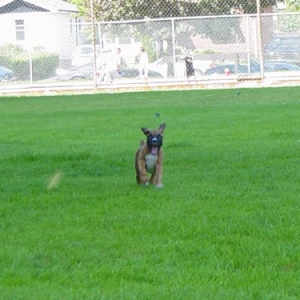 Look mommy!!! It's Dumbo!