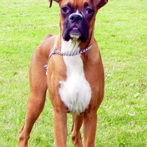 Yeah, I'm a big boy now!