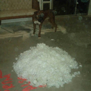 I_did_all_that