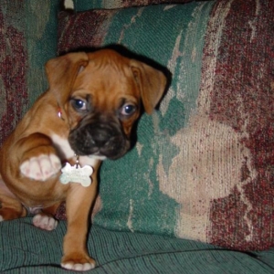 Boxing Practice