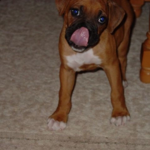 Peanut  Butter Clean Up