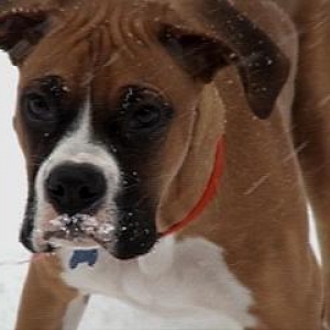 Rockys first snow day