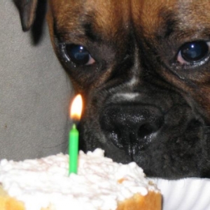 Cassius's first birthday