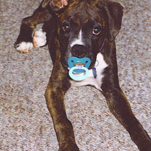 MacKenzie and her nuk