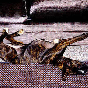 No...you aren't looking at this photo upside down