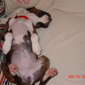 What a rough life!