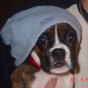 I am all ready for snow!
