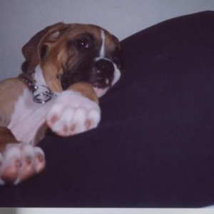 Sleeping in Daddy's spot