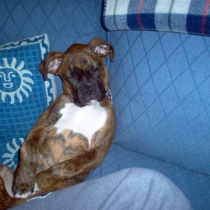 Picture_062_Small_