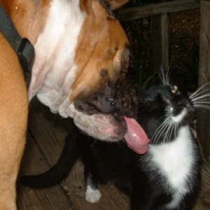 Tuffy and Friend