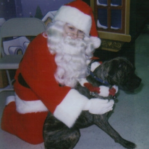 Petsmart Santa & Rocky