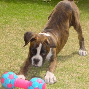 Sabrina en el jardin 01
