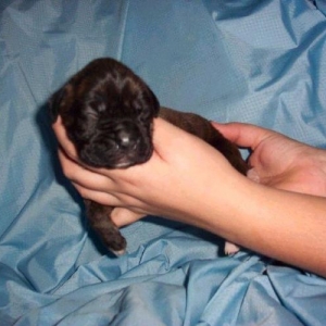 My New Baby Boy!