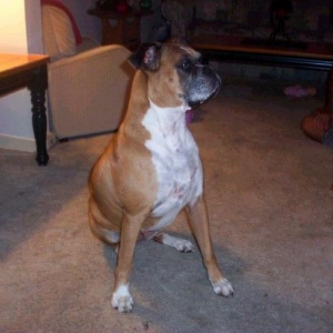 Xena Hears Something!