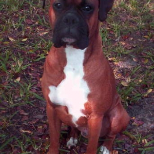 Spanky