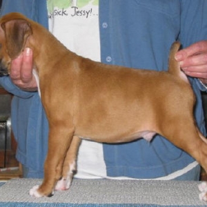 AJ @ 7 weeks.