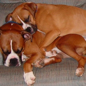 Emma using Tigger as a Pillow